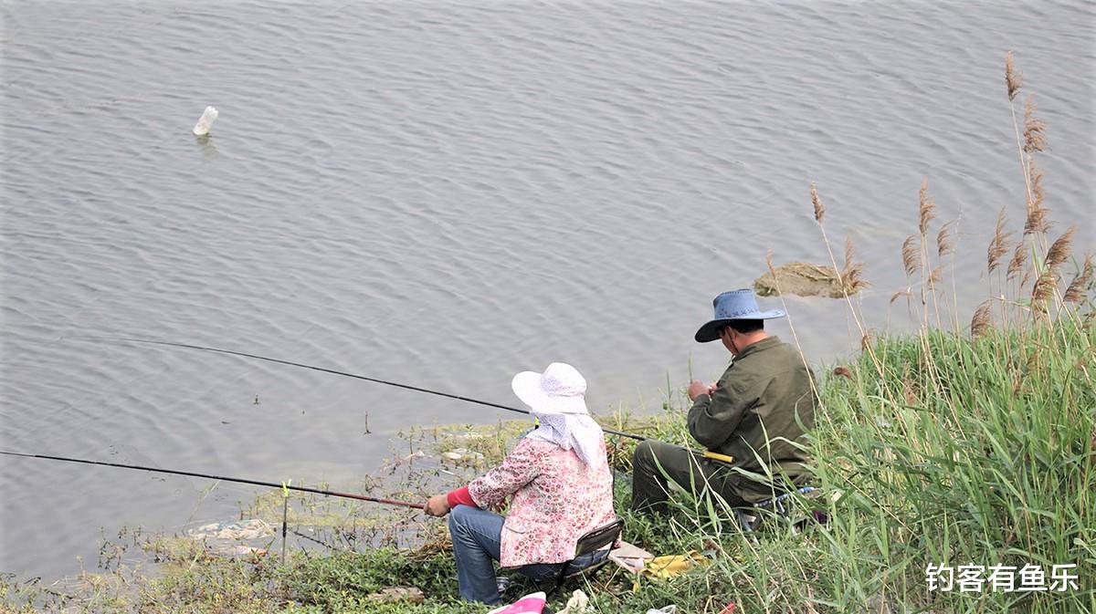 饵料|为什么在同一个地方钓鱼，每次的渔获量不一样？原来有这些原因
