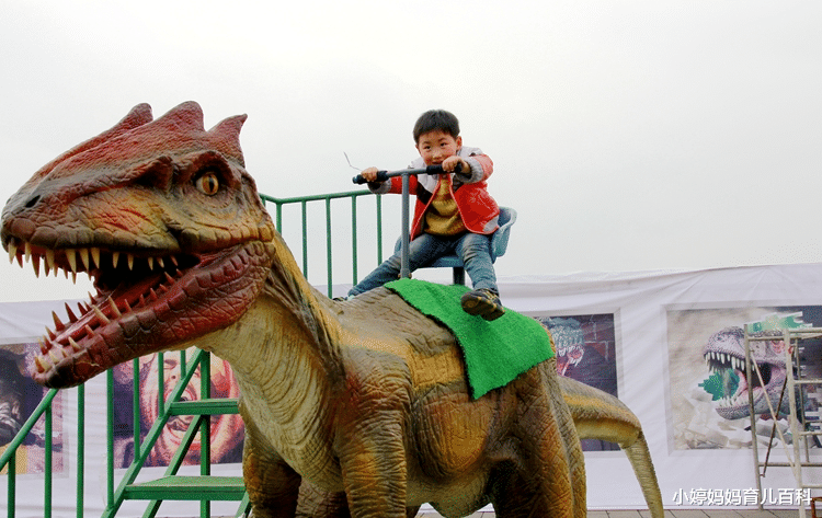 小婷妈妈育儿百科|专家研究表明：喜欢恐龙的娃更聪明，思维更灵活！看完原理我醉了