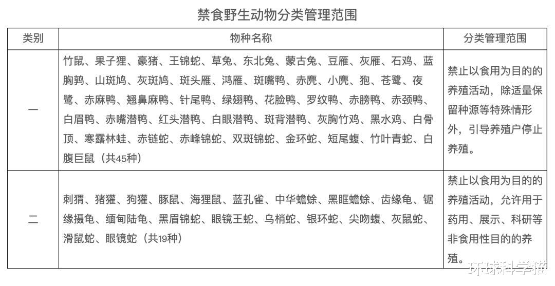 眼镜王蛇 被眼镜王蛇咬伤多久会死亡，它的毒性到底有多强？