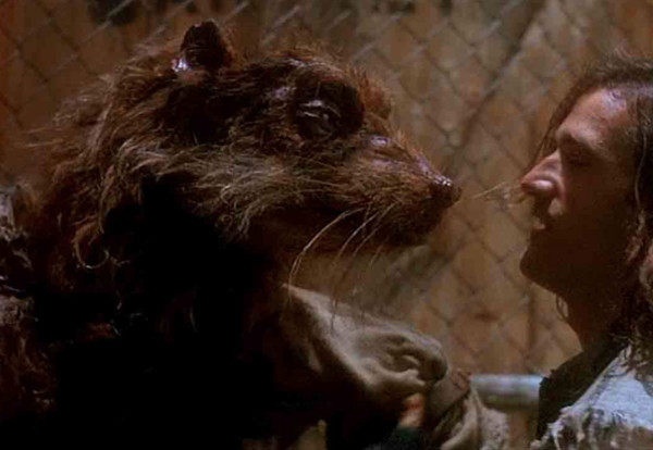  变异巨鼠团灭科学团队，仅1人生还，切尔诺贝利巨鼠真的存在吗？