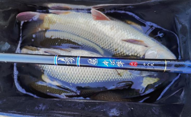 |第07章 鱼的洄游和活动水层变化（中）