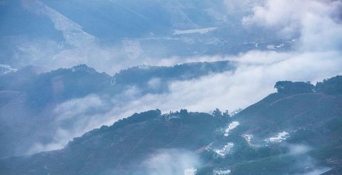 |广东有座山，海拔1407.8米，遍布奇花异草，云雾缭绕仿佛仙境！