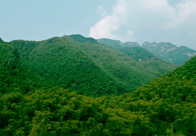 水逆晋升功臣|中国民间故事：神秘树洞