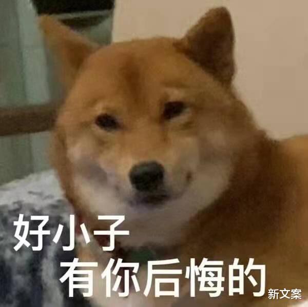 大学|辅导员掉水里了怎么办？好家伙，你们怕不是戏精专业吧？
