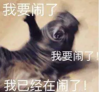 林书豪|终于等到！林书豪第一场就炸！99分干翻辽宁队！CBA整整等了他1年