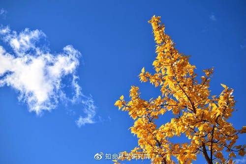 知命命理服务平台|知命独家日运:六月十七吉祥!职场乘机观变,感情把握时机!