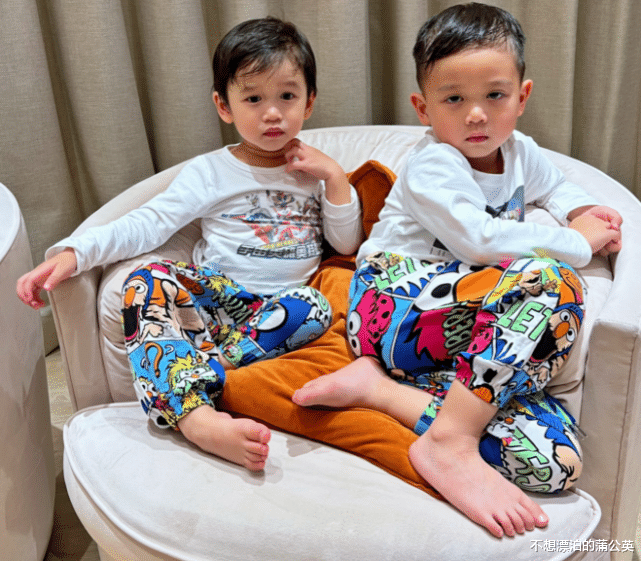 胡杏儿|胡杏儿两个儿子近照,一个像爸一个像妈,4岁奕霆被弟弟抱着十分有爱