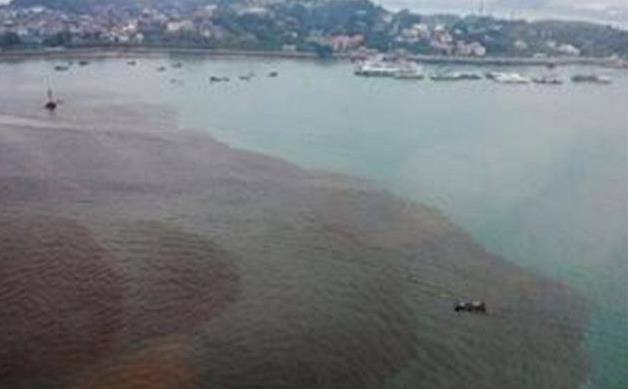 优美生态保卫者 广西一水塘每天准时“出血”，水中浮现巨大黑影？村民们人心惶惶