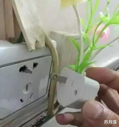 苏月瑾 “老婆出差半年回到家，在她包里发现了让我很新奇的东西，这是什么？”
