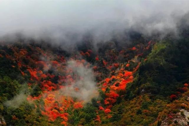 阿坝州|红火撩人！阿坝州20处最佳赏秋地出炉，赶紧收藏！