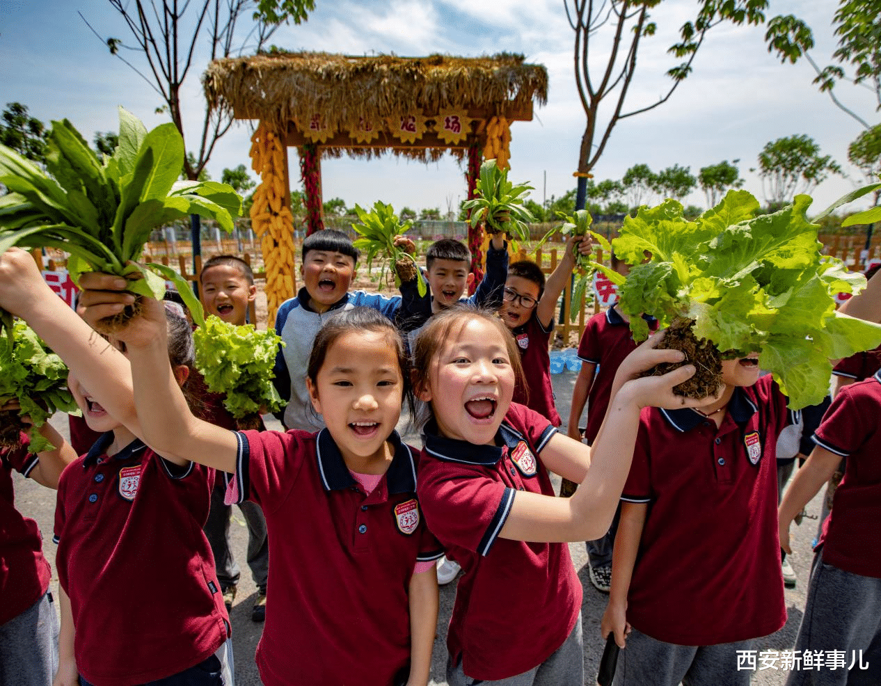 西安新鲜事儿 换个角度看泾河——这些摄影高手来泾河新城采风啦！