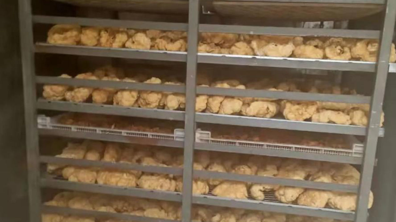 久见菌菌|黑市上人体胎盘泛滥,竟然是为了食用!真的能滋补身体吗?