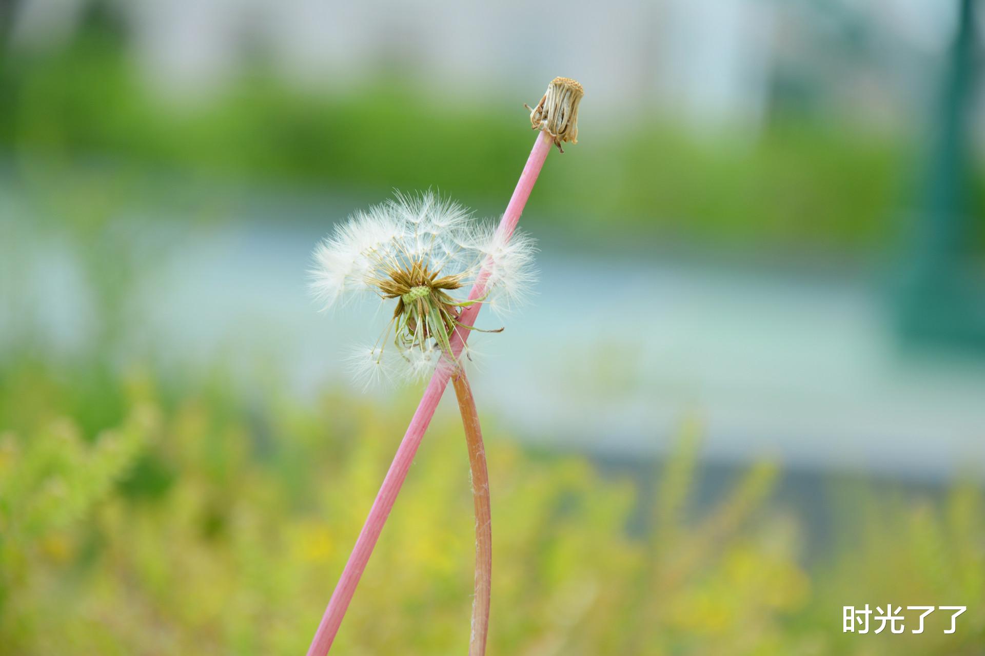 时光了了|后来,我没有打扰你,你也没有联系我,我们就这样结束了