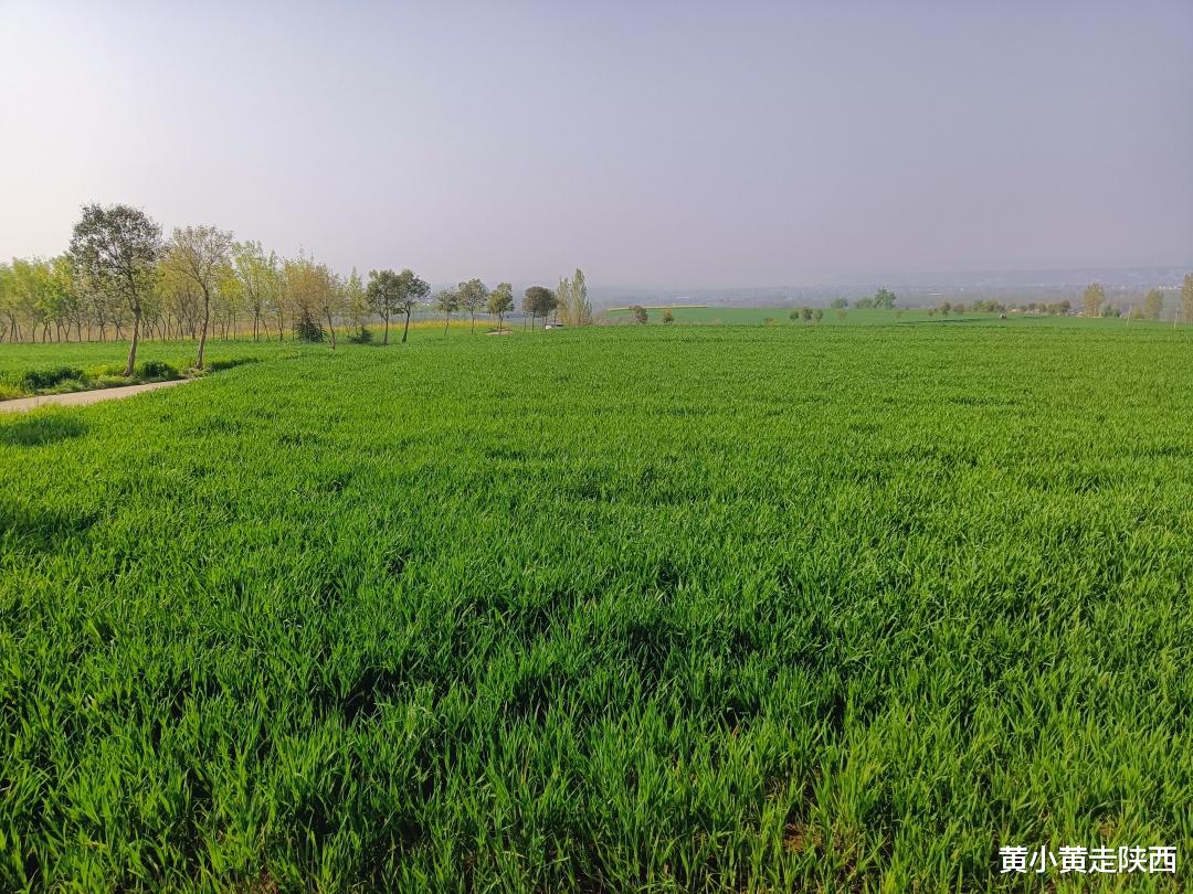 金鱼|假期不想人挤人？西安秦岭脚下小山村，赏山水、钓鱼、野餐很惬意