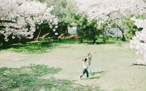 知一先生|男孩取名大全：一瞥惊鸿的古风男孩名字