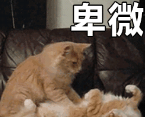 |在职场这五件事，做的越多越错~