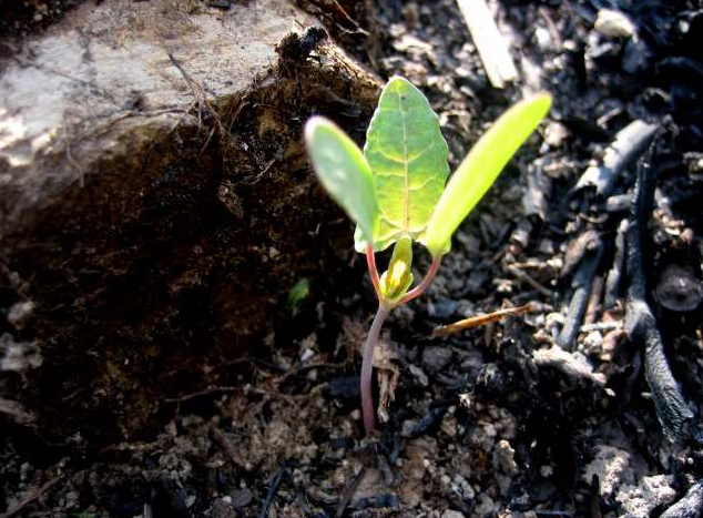 运动|息肉切除后又复发？术后饮食有讲究，知道如何吃才能少复发