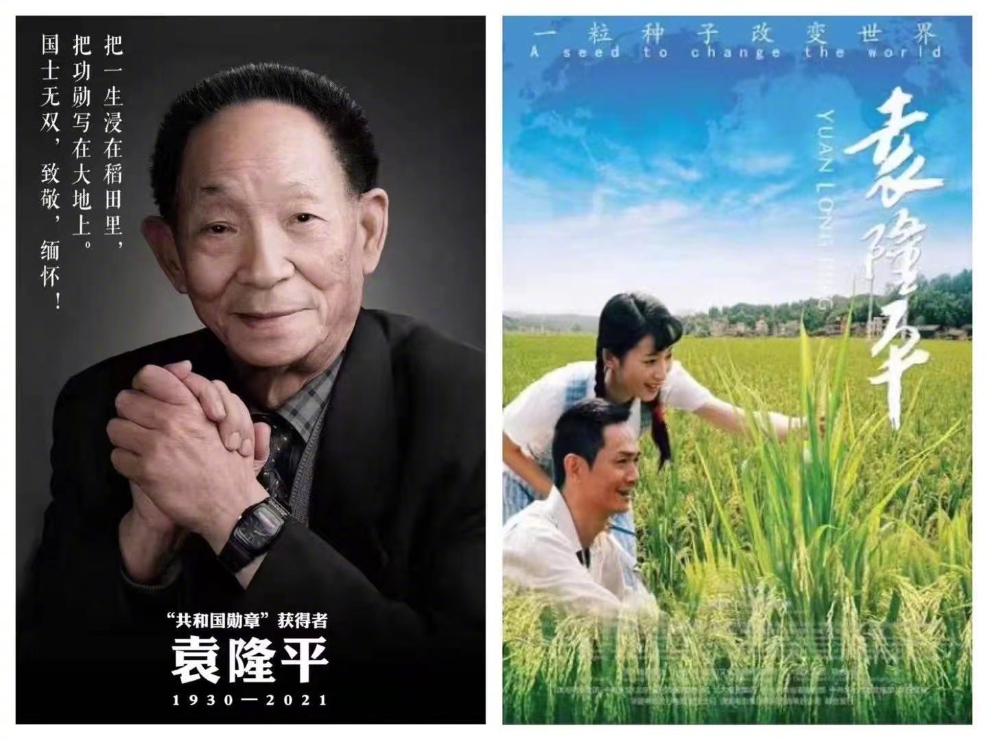 李汶翰|快乐大本营停播一期，播放电影《袁隆平》缅怀袁老，却被李汶翰大粉开杠