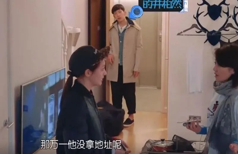 郑爽|是谁亲手毁了郑爽？