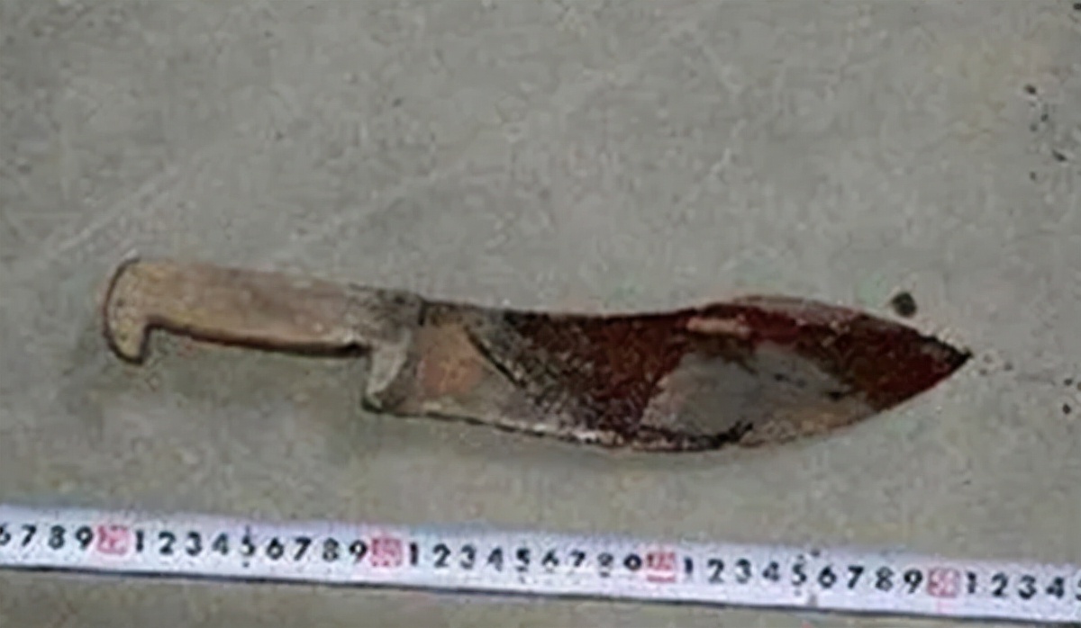 黑车 犯罪团伙连环作案，主犯潜逃六年住在江上