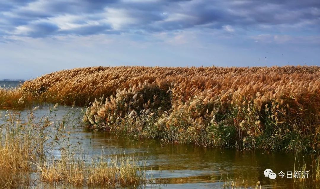 徐州 全省公示！徐州入选无限定……