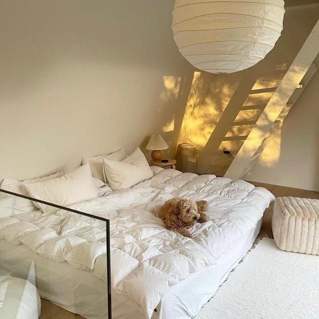 90后韩国女主晒独居生活照:悠闲精致,在她家看见岁月静好的模样