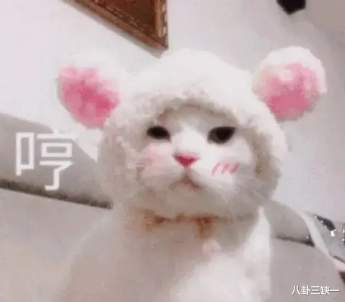 程潇|隔三差五阴阳怪气，本不富裕的路人缘如今雪上加霜