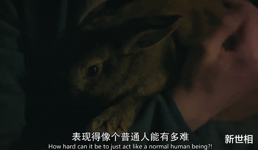 新世相 有多少中国孩子的哭声，一直被假装听不到？