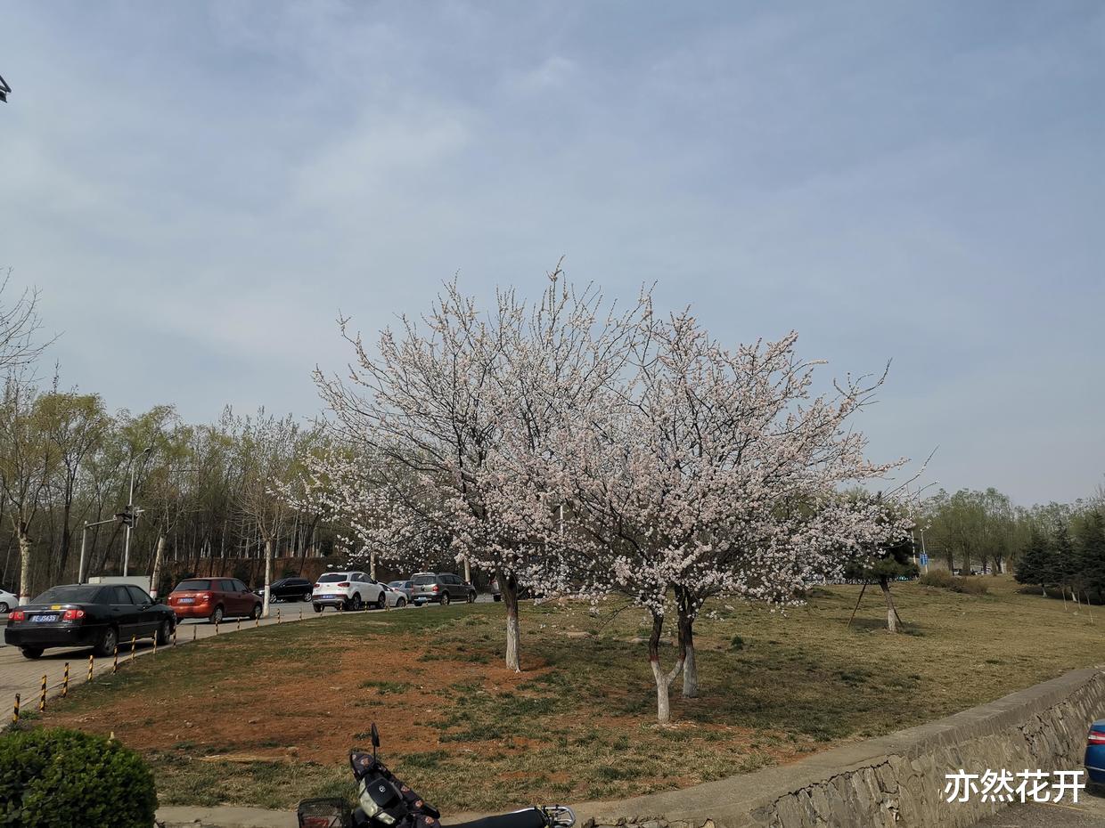前台|写作疗愈：找到自己的定位，明确人生的目标