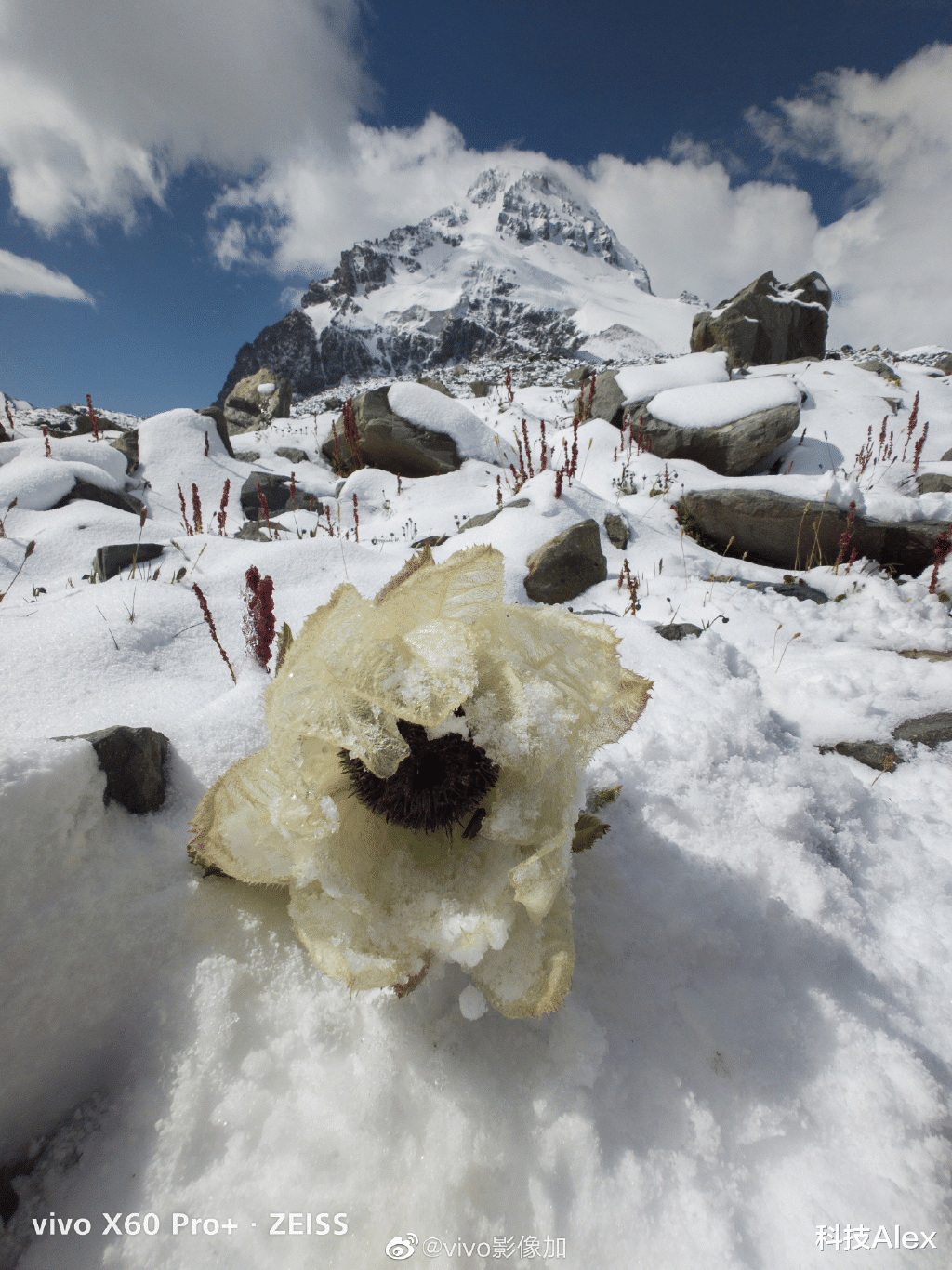 新疆维吾尔自治区|vivo X60 Pro+镜头中的新疆雪山，每一帧都将质感拉满