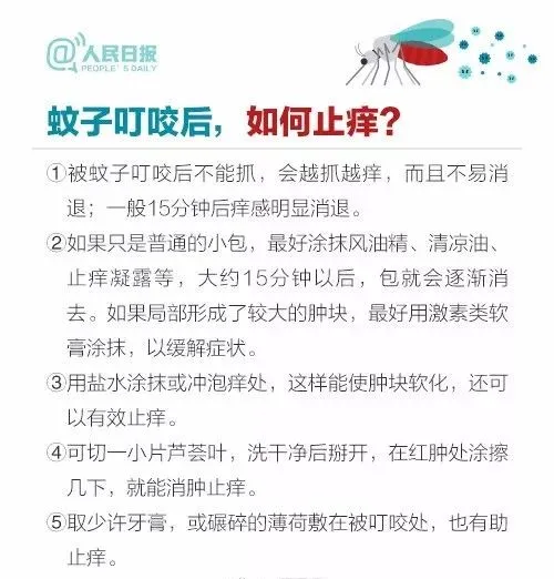 芒果帮女郎 气温直冲33℃，暴雨已经在路上了，但湖南人最烦的却是它