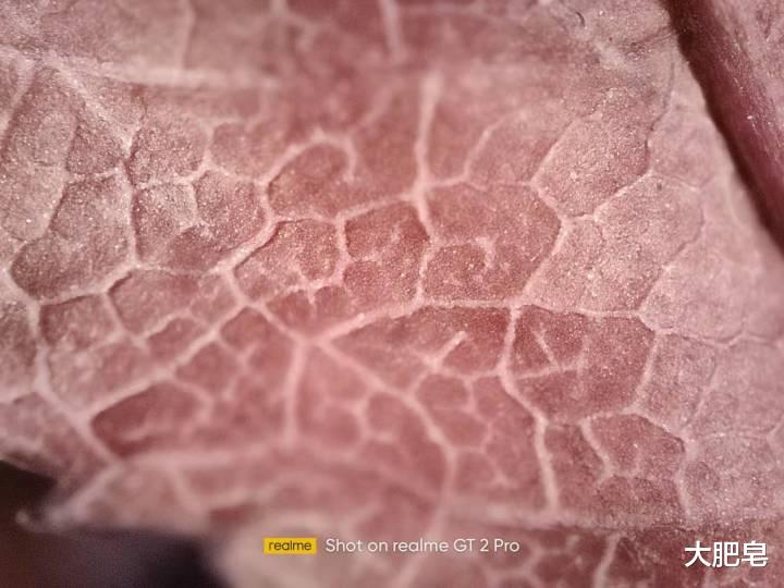 realme|2022开年的首款旗舰手机,真我GT2 Pro上手评测