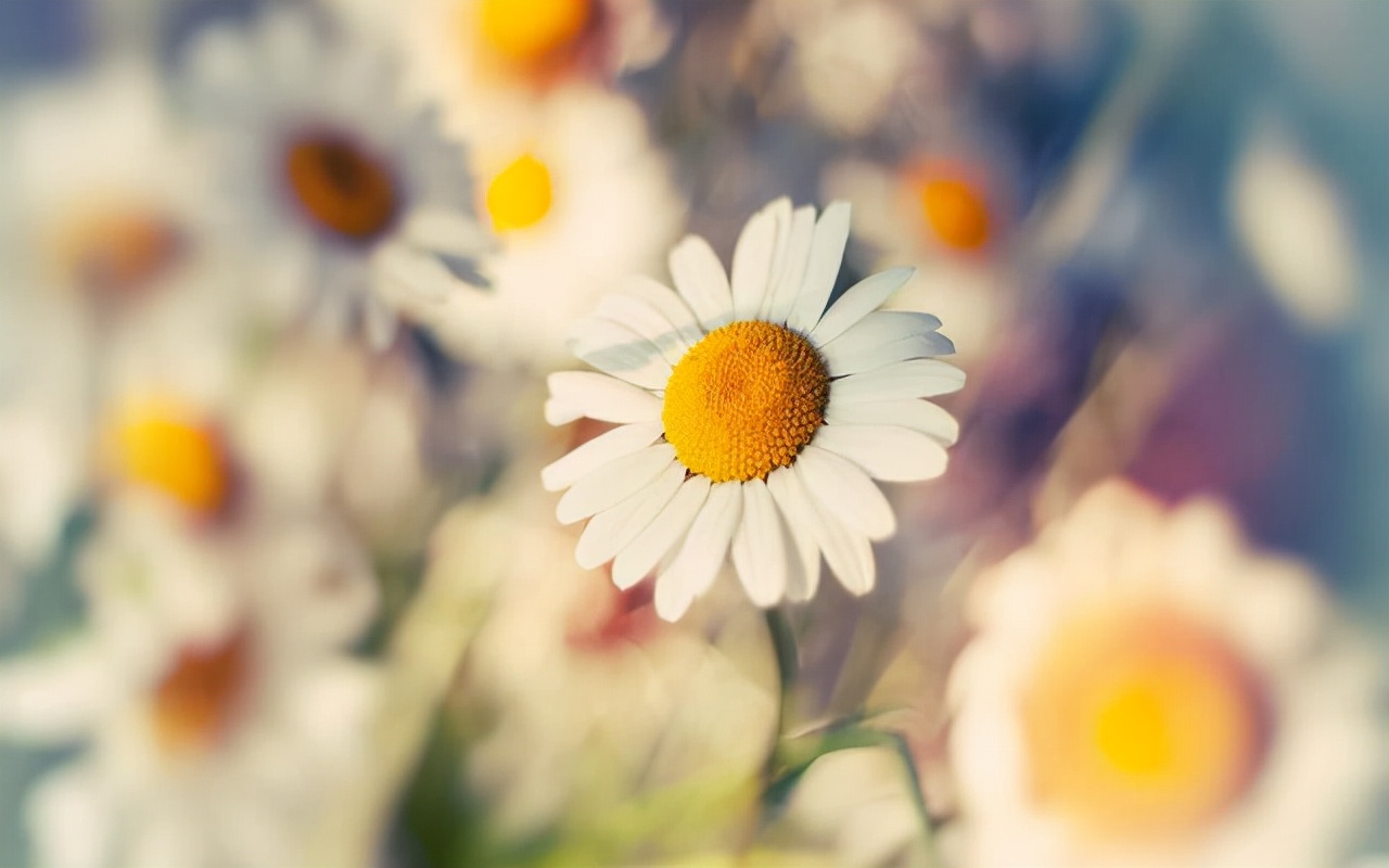 仲念念|做人有三忌,戒掉了,福气自然就来了