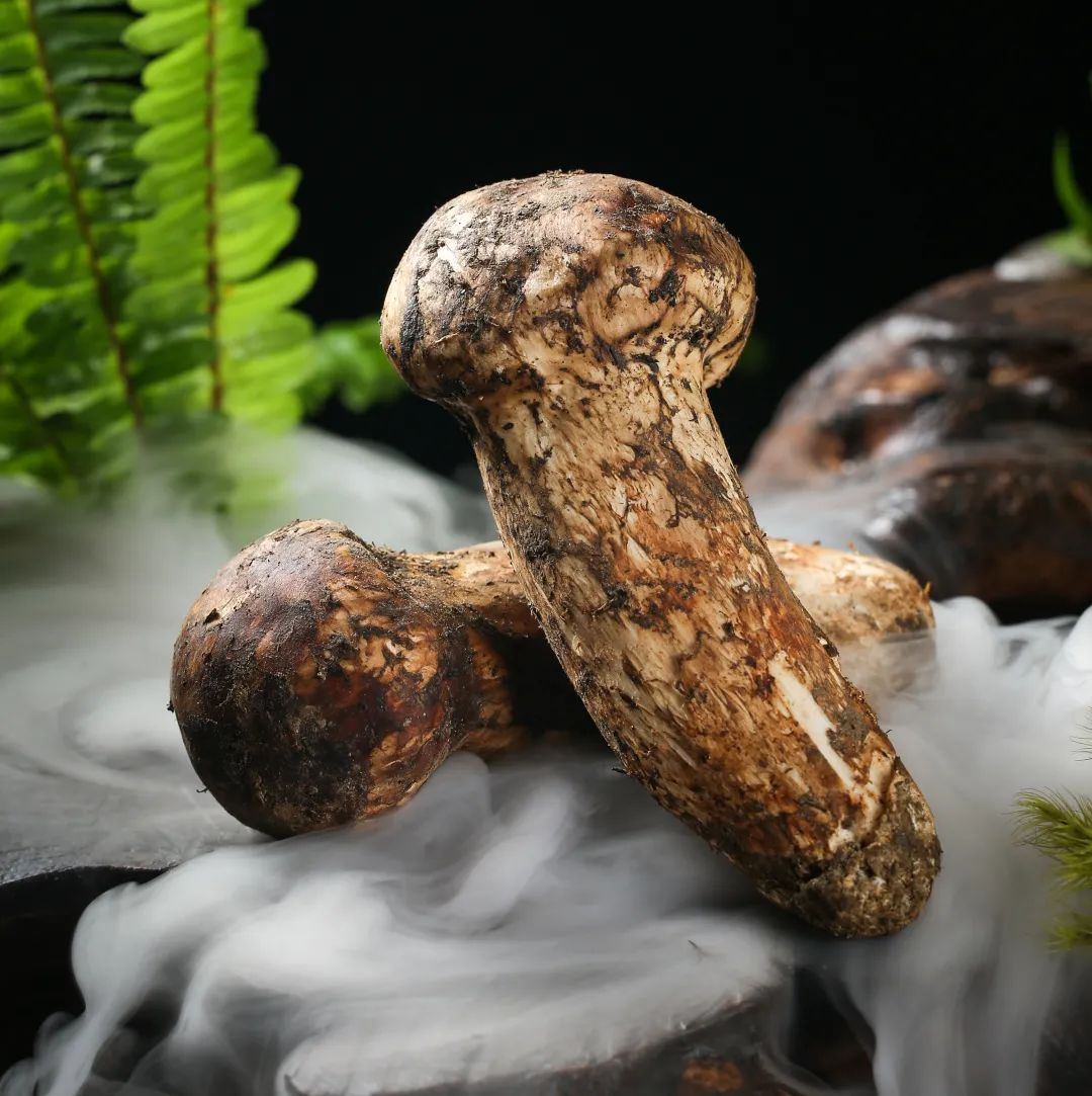 坚持生物多样性发展,以自然之道,养万物之生