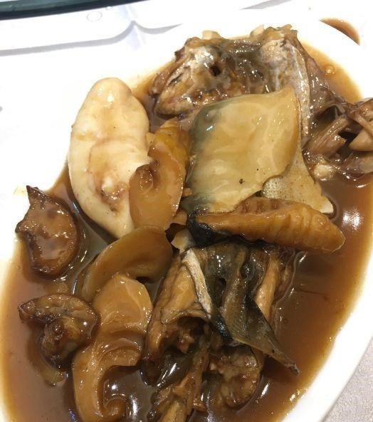 宓孤林|半斤！广西大爷西江钓起“河豚王”，小伙羡慕围观，大爷：送你了