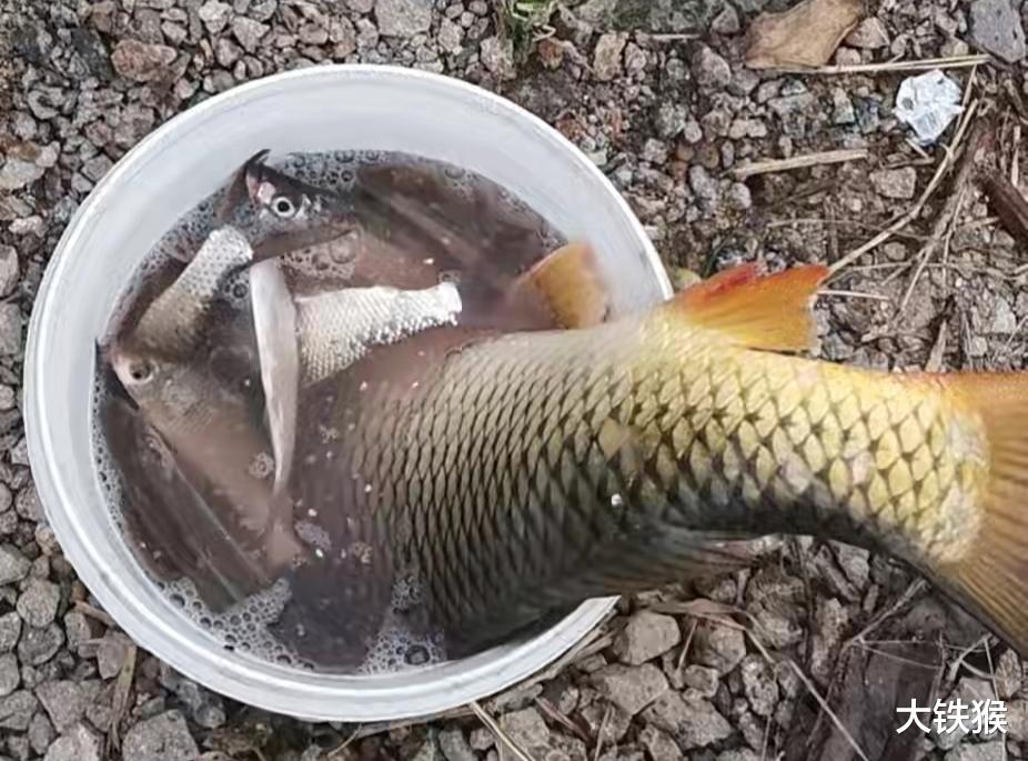 |教你做一个“永久鱼窝”，只要别人不知道，连竿上鱼的永远是你