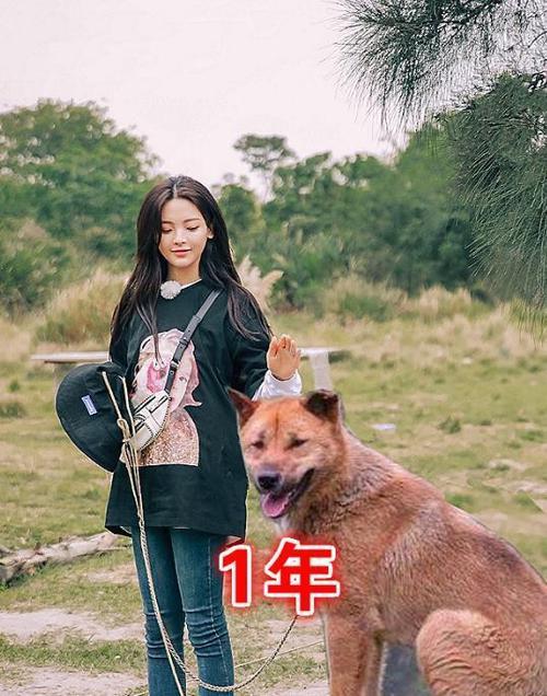 安崎|明星成名用了多长时间？虞书欣用了5年！你猜赵露思用了多久？