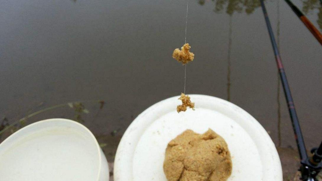 |钓鱼时，有了明显的中鱼漂相，但提竿却无鱼是怎么回事？原因有3