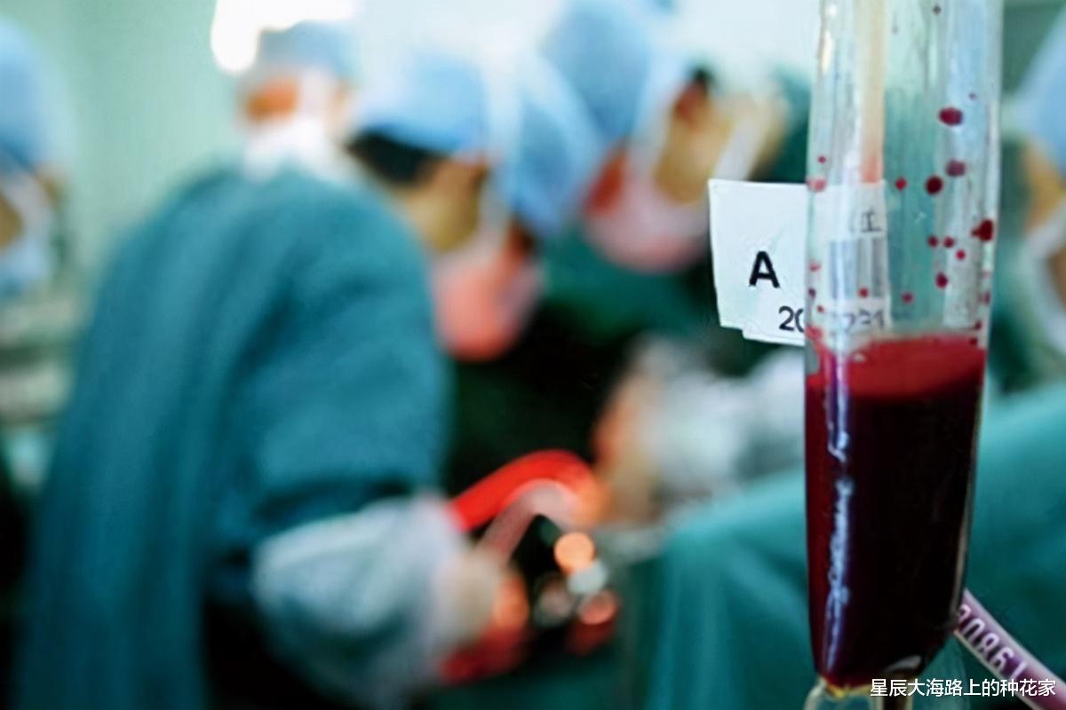 猩猩 艾滋病最早就在猩猩身上，人和猩猩相爱，到底会不会传染艾滋病？