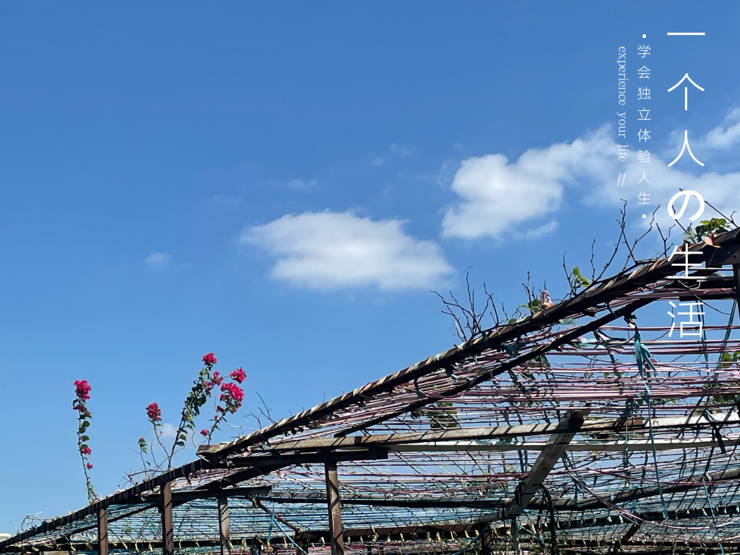 求职|裸辞有风险，但我想放过自己一段时间！！！