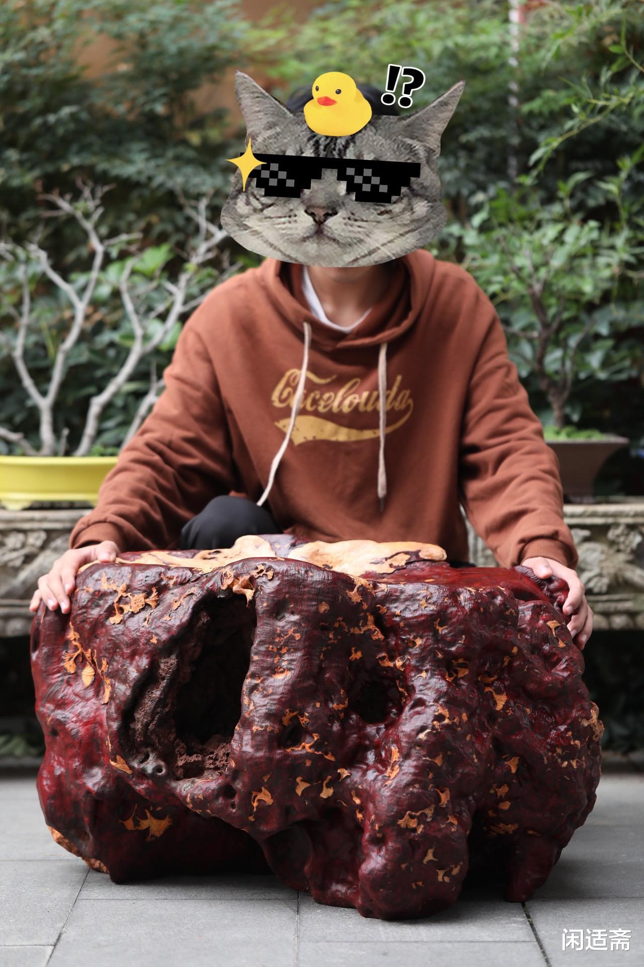 小叶紫檀|文人雅士，清玩之趣，小叶紫檀，瘤王坐墩