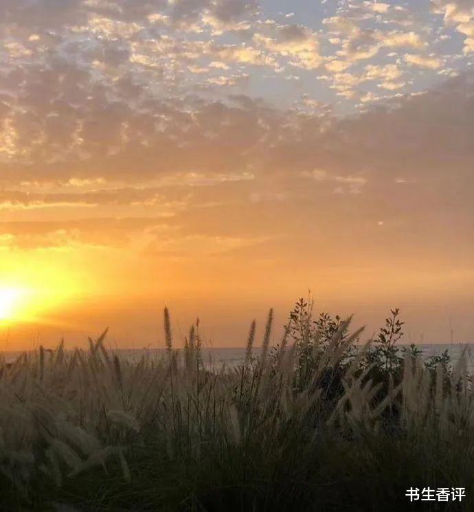 书生香评 肿瘤治疗岂能为了一己私利“谋财害命”？