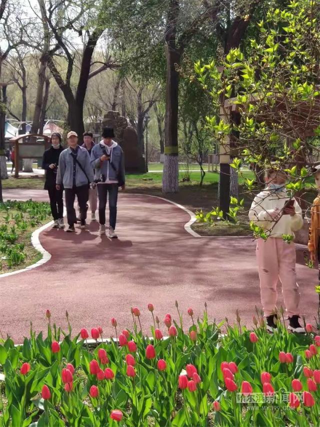 哈尔滨新闻网 你好啊，这花花世界｜今天最高气温近20℃