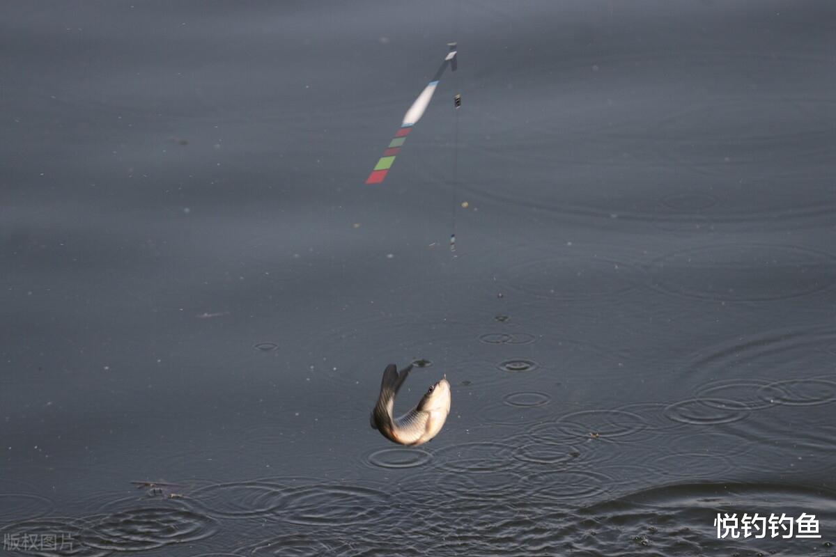 和田|钓鱼用的主线和子线大小跟钓鱼有什么关系？