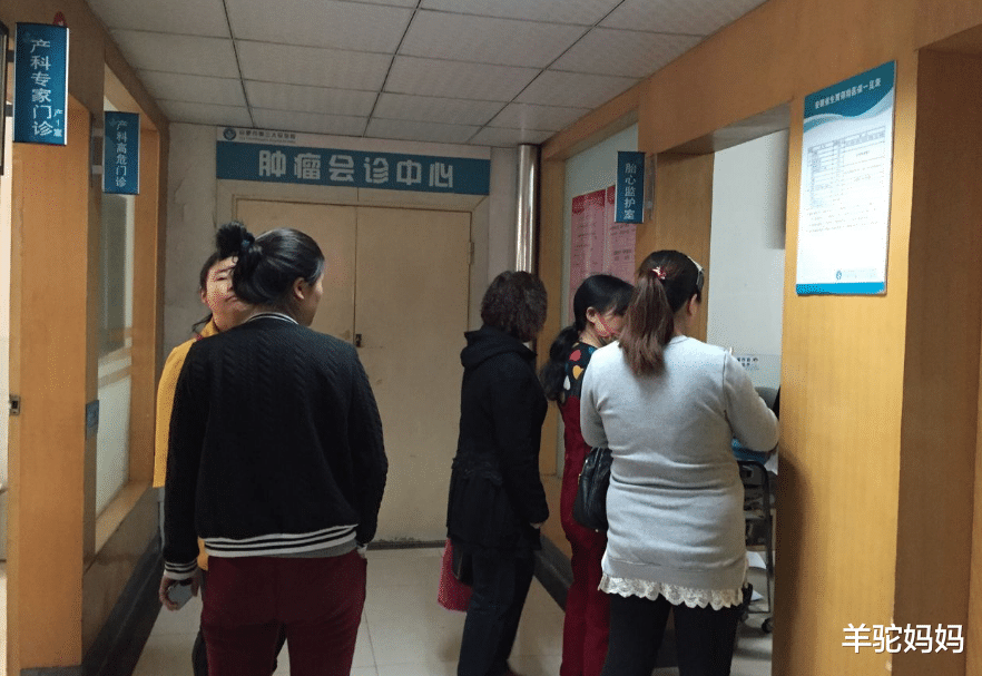 羊驼妈妈|90厘米“袖珍妈妈”执意要生娃,孩子出生后,网友直呼意料之中