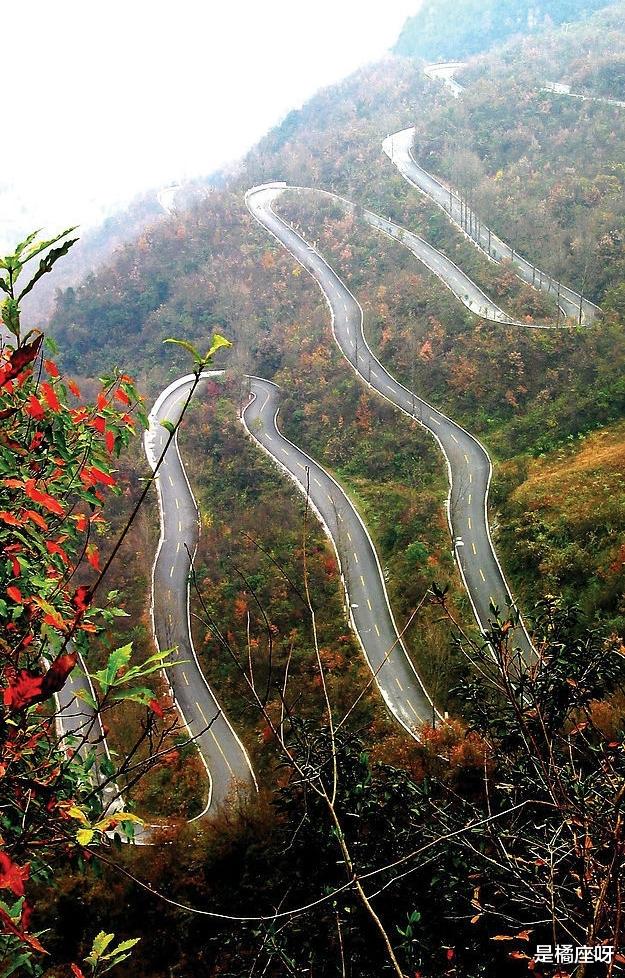 神农架|游记：一路好山好水，心胸与天地连为一体，记忆中最美的色彩
