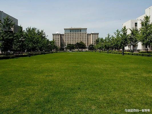 高校|一个世界500强企业招聘第一条件是985高校硕士研究生