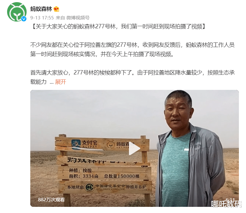 上海市 蚂蚁森林“去哪儿”了？网友质疑后道歉：从未见过这么小的树！