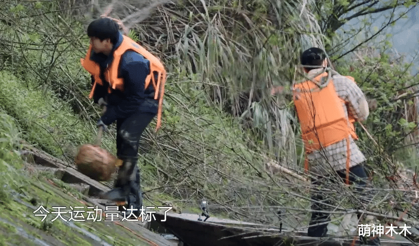 张子枫|《向往5》又惹争议,黄磊做早餐饭量不够,彭昱畅张子枫吃盒饭