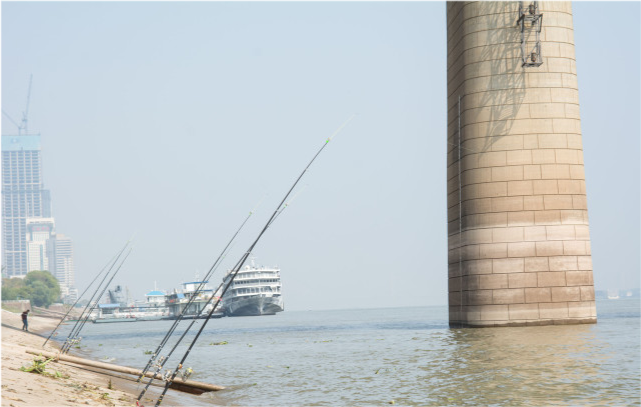 电子商务|严管违规作钓！“垂钓规范”将出台，或将对钓鱼运动产生深远影响